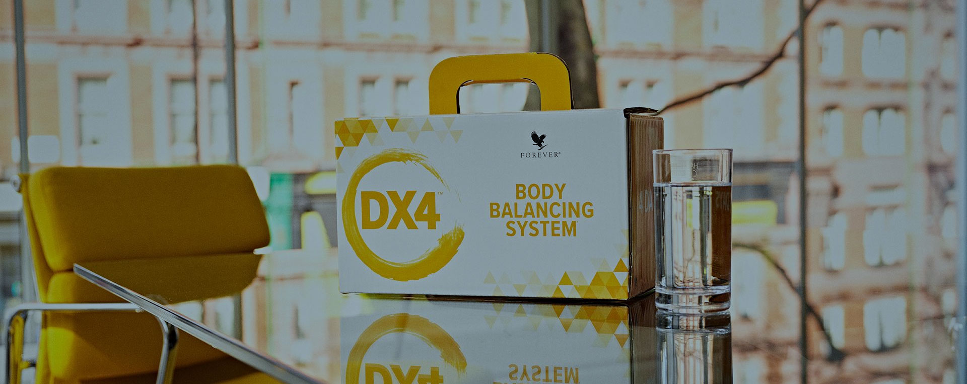 body-ballance-system-dx4-titel1